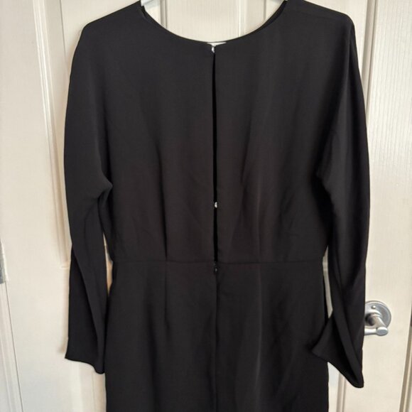 Babaton (Aritzia) Dress - Picture 3 of 3
